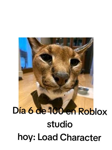 Gracias por su apoyo aquí abajo les dejo el link y en los comentarios#Roblox https://create.roblox.com/store/asset/752585459/Load-Character-Lite