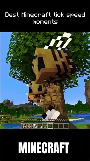 Best Minecraft tick speed moments #minecraft #minecraftmeme