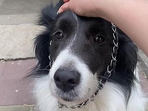 ktag编程器安装使用方法