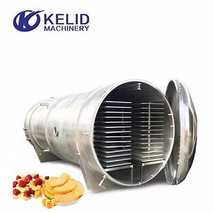 [Hot Item] Vacuum Dryer Fruits Vegetable Drying Machine