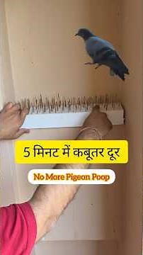 DIY How to get rid of pigeons from balcony | कबूतर कैसे भगाए #pigeonrepellant