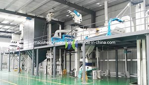 [Hot Item] Sesame Seed Cleaning Machine Grain Processing Plant