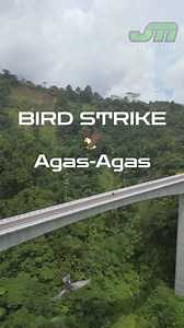30K views · 159 reactions | Bird Attack 礪 Drone Agas-Agas Sogod Southern Leyte   #birdstrike #drone #dji #bridge #Highestbridge #AgasAgas | JHAN Mottour | Facebook