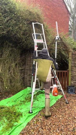 Overcoming Challenges: Life Lessons from Gardening