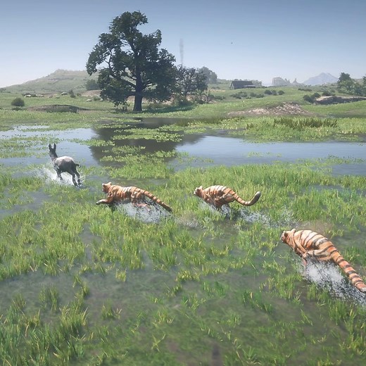 288K views · 1K reactions | Donkey Impossible escape from Tigers | Kesari Gaming | Facebook