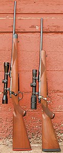 The Short Answer About Scout-Style Rifles - Shooting Times
