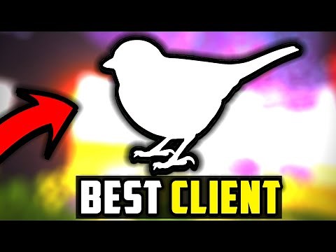 Tori Client Review – Insane FPS Boost!
