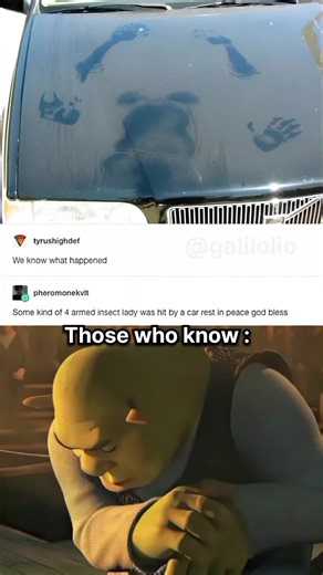 that insect is terrifying #Meme #meme #memes #funny #funnymemes