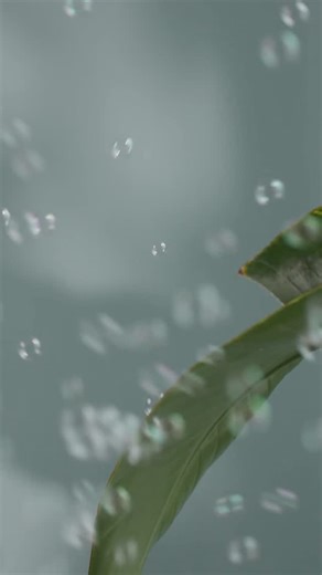 candlescience | We’re bubbling over with excitement… But we’re not saying a word. Yet. 👀 Drop date → 9.15 #soapmakersofinstagram #candlemaking #soapmaking... | Instagram