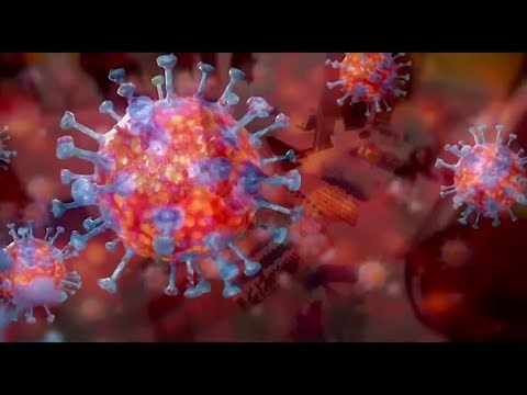 Omicron Variant: Everything You Need to Know About the New COVID-19 Strain