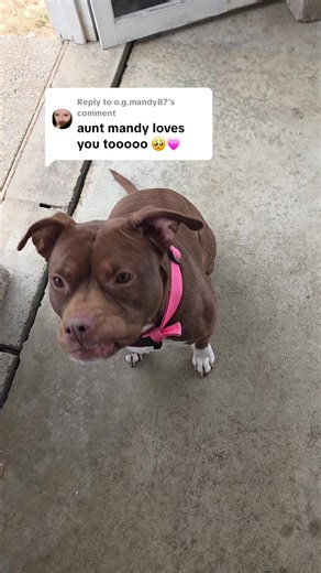 Replying to @o.g.mandy87