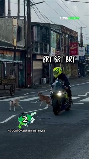 The Funniest Moments Bikers Have When They Encounter Dogs 😂 #shorts