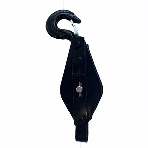 [Hot Item] Double Wheel Lifting Snatch Block Pulley