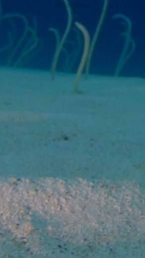 65K views · 1.9K reactions | watch the full episode on YT! https://www.youtube.com/watch?v=UpfWygBUO1k | True Facts | Facebook