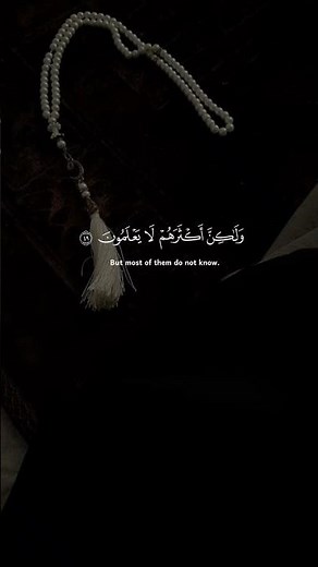 Surah 🫀🌹| #islamicvideos #islam #ytshorts #viral #Allah #quranrecitation #qurantilawat #1m #views