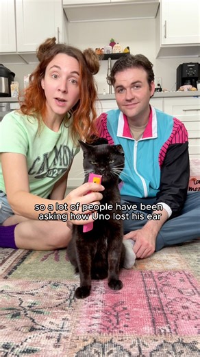 How my one-eared cat lost his ear 🙀 #cat #catperson #storytime #funny #funnycat #blackcat #cutecat #oneeareduno | One eared uno