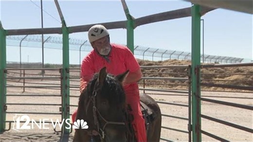 Arizona prison inmates work to train wild horses and burros