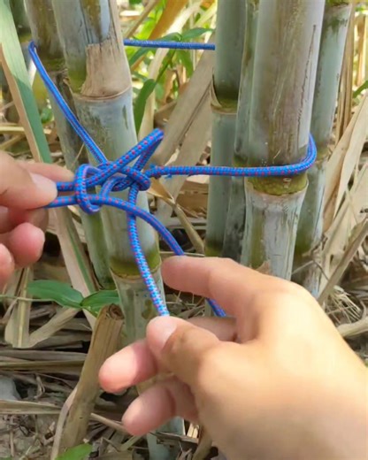 Easy Rope Knots Trick Everyone Should Know. #masterknots #RopeDIY #ropehacks #SmartTip #idea #knottutorials #fblifestyle #ropecoilingknot #knotsforclimbing #tools | Weekofknots