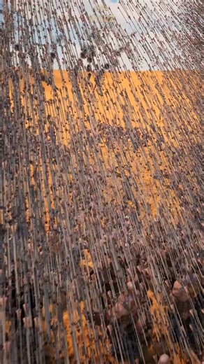 10 Super Legolas VS 1,000,000 Orcs ! 😱 Who will win ? 🤔 #gameplay #gaming #epicwarz #gamingcommunity #LordoftheRings | Epic Warz