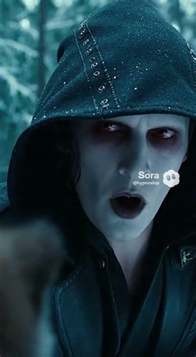 A Vampire Touches a Wolf Cub in the Den… The Mother Attacks Instantly