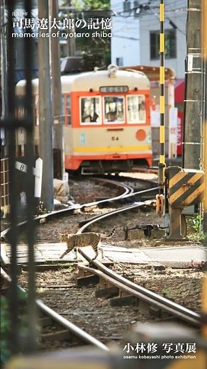 司馬遼太郎の記憶 坂の上の雲編