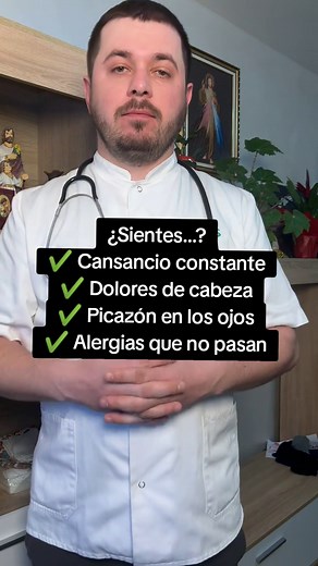 Cómo detectar y eliminar el moho en casa