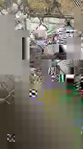 73K views · 2.9K reactions | These dogs are patiently waiting to be adopted. We are open Sunday 12-3, please come, they will be waiting. | Herkimer County Humane Society | Facebook