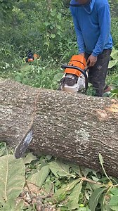 Cutting wood very quickly | Suprapto