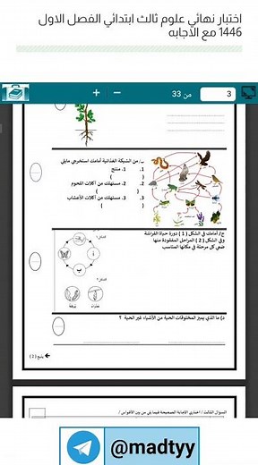 اختبار علوم نهائي ثالث ابتدائي ف1 1446