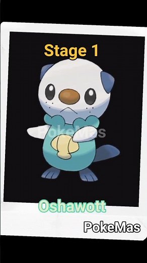 Evolution of Oshawott|#94|PokeMas| #pokemon