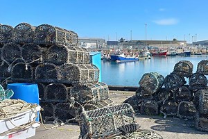 Peterhead leads the way as fish landings rise by 10.5%