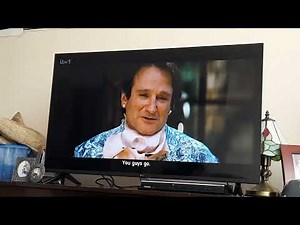 Mrs Doubtfire 1993 Film Miranda Hillard argues with Daniel Hillard in Disguise as Mrs Doubtfire