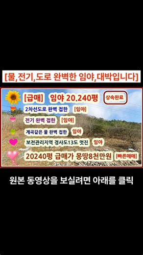 [급매] 2차선도로+전기+계곡같은물 모두다 완벽하게 젒한 임야 20.240평그리고 임야의 절반 약1만평은 경사도 13도 정도 너무 좋아요 평당4천원[대박임야]#shorts