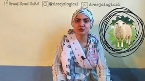 64K views · 2K reactions | LADISHAH ON EID UL AZHA | QNS 24x7 | Facebook