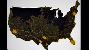 11K views · 175 reactions | MIT artist Diemut Strebe and scientist...