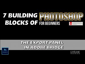 Adobe Bridge 2020: The Export Panel