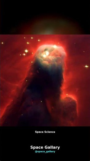 The Southern Cross is hiding a secret your eyes can’t see... #Shorts