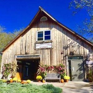 478 reactions · 62 shares | We are already  falling for Rhode...