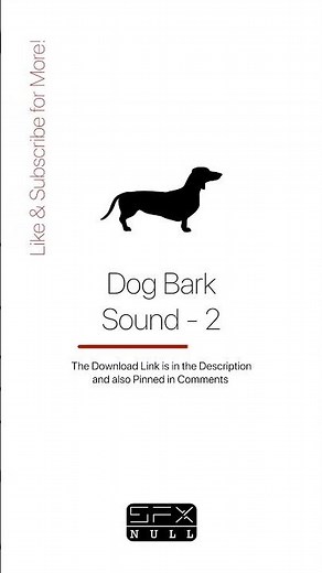 Dog Bark Sound 🐕 🔊 / Barking Sound Effect / Dog SFX #dog