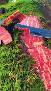 4.6K views · 45 reactions | The Chinese meat tree ! At first glance,...