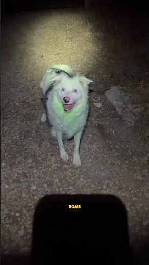 A Random Encounter That Changed Everything 😨#shorts