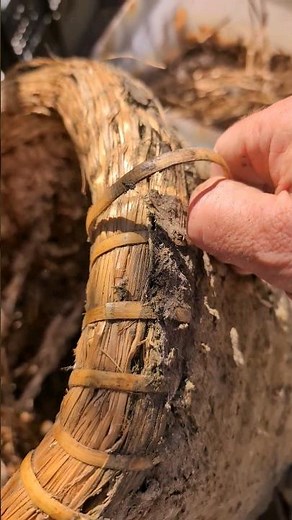 Warum nur? Imker zerlegt Bienenkorb, und dann geschieht das: