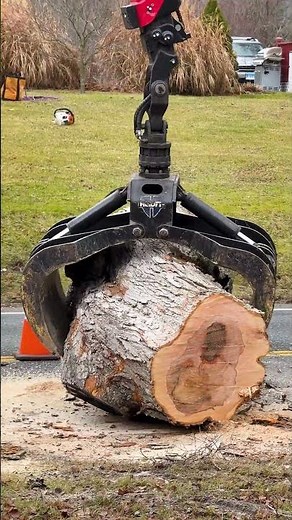 Kenworth T880 Log Truck Handling Tree Cleanup | Rayzor's Edge Tree Service