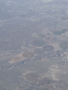 Science Gaming on Reels