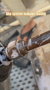 Ahu system nitrogen testing