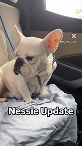 7.8K views · 247 reactions | Nessie was finally released from the...