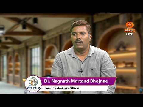 PET TALK- beyond the bond