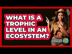 What Is A Trophic Level In An Ecosystem? - Ecosystem Essentials