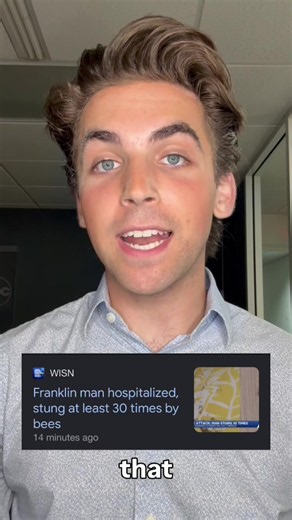 Man Attacked by Hundreds of Bees in Franklin — What Happened