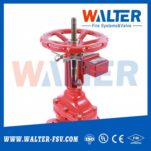 [Hot Item] OS&Y Gate Valve with Supervisory Tamper Switch